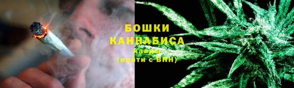 PSILOCYBIN Зерноград