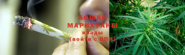 ПСИЛОЦИБИНОВЫЕ ГРИБЫ Семилуки