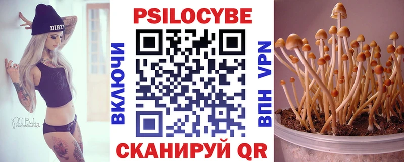 Галлюциногенные грибы Psilocybe  Камешково 